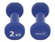 4Fizjo Classic Cast Iron Dumbbells with Vinyl Coating, 2 x 2 kg, Blue