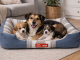 Soft Dog Bed for Medium Dogs, Plush Comfortable Pet Sofa Lounger, Grey