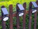 RGB Solar Garden Lamp with Color Changing, 42 cm