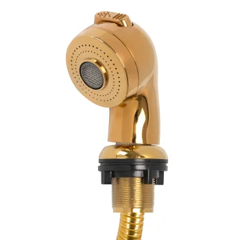 Gabbiano Large Shower Head for Hairdresser Washbasin, Gold