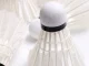 Feather Badminton Shuttlecocks 12-Pack Durable Birdies, White