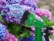 Multifunctional Garden Hose Spray Gun, 7 Modes, Green