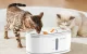 Rojeco RYSJ-13 Smart Pet Water Fountain, 2.5L