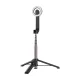 Telesin Magnetic Selfie Stick and Tripod for iPhone 12-16 WS-22005
