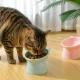 Cat Bowl on Stand DA368, Green