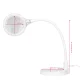 Elegante 2014-2R Cosmetic Magnifying Lamp with Desk Clip