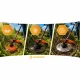 Humberg Hm-613 Petrol Brushcutter Grass Trimmer 55cc + Oil