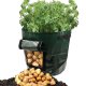 Planting Bag for Vegetables and Potatoes, 33x47 cm, Green
