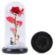 Eternal Rose in Glass Dome with RGB LED Light and Figurine