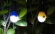 Lepro PR330030-4 Battery-Powered Camping Lamp