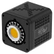 Newell Tara 40 RGB LED Light