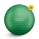 4FIZJO 65cm Exercise Ball for Fitness, Yoga & Physical Therapy with Pump, Green