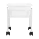 Pedicure Foot Basin on Wheels with Bowl, White