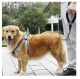 Purlov Reflective Dog Leash with Handle, 3m, Black