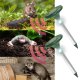Ultrasonic Mole and Rodent Repeller with Solar Battery and LED Lighting, 2pc.