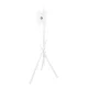 Maclean MC-181 W TV Floor Stand (27-55\", 60kg, VESA 200x200)