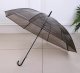Transparent black umbrella