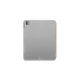 AmazingThing Minimal Case for iPad Pro M5 11\", Orange