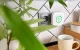 Natural Gas Sensor Shelly Gas CNG WiFi
