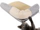 Cat Bed with Scratching Pad, Size S (Mixed Designs)