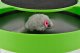 Игрушка для котов с когтеточкой, \"Мышь\" | Cats Indoor Interactive Toy \"Mouse\"