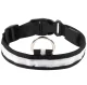 LED Glowing Pet Collar AG232D, Black
