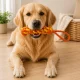 Braided Dog Rope Toy for Tugging and Fetching, 29 cm