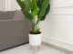 White Flower Pot on Wooden Legs, 17x24 cm