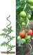 Spiral Plant Support Stake 120 cm, Ø 11 mm, Green