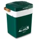 Berdsen Icemax 3826 Portable Car Refrigerator, 29L, Eco Mode, Green