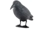 Iso Trade Bird Repeller - Raven, Black