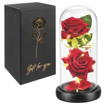 Glimz Eternal Rose in Glass Dome with LED Lights, 22 cm, Red