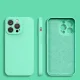 Apple iPhone 13 Pro Max 6.7\'\' Silicone Color Case Cover, Mint Green