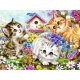 Paint by Numbers Kit Cats on Canvas 40x50cm Maaleo 22781
