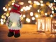 Christmas Gnome with LED Light 30 cm