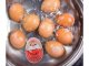 Egg Cooking Timer, Chicken