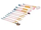 Professional Makeup Brush Set, 12 pcs, with Case, Pink/Blue