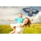 Flying Kite Eagle, 200cm