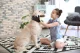 Massage and Grooming Glove for Dogs and Cats