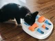 Educational Logic Game and Chew Toy for Dogs, 34x34 cm