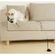 Fishing Rod With Suction Cup Cat Toy \"Bird\"