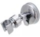 Shower Head Holder with Suction Cup, Silver
