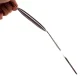 Induction Hob Adapter Ruhhy 24281, 19 cm
