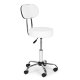 Adjustable Swivel Stool with Backrest on Wheels ModernHome, White