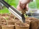 Garden Trowel for Planting Seeds and Bulbs, 22.5 cm