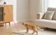 Automatic Cat Laser Toy Rojeco RWJDZ-02 1000mAh