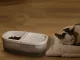 2-in-1 Pet Water Fountain and Food Bowl for Cats and Dogs USB 2.5L
