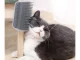 Corner Cat Self Groomer Brush with Catnip