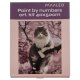Maaleo Paint by Numbers 40x50 cm, Kitten