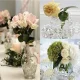 Gardlov Hydrogel Balls for Plants and Decoration, 10000 pcs, Transparent